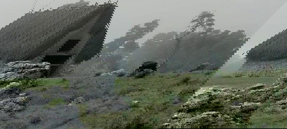 Backdrop of Bergman Island
