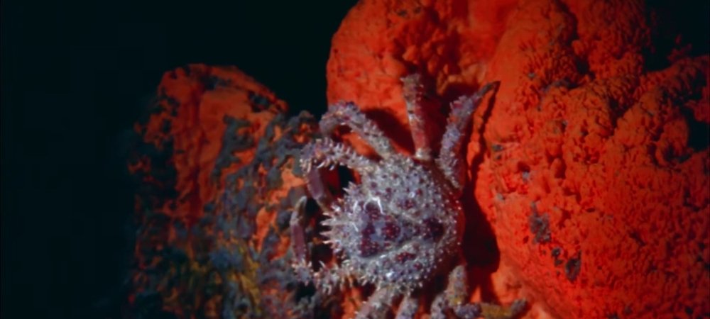 Backdrop of Undercurrents