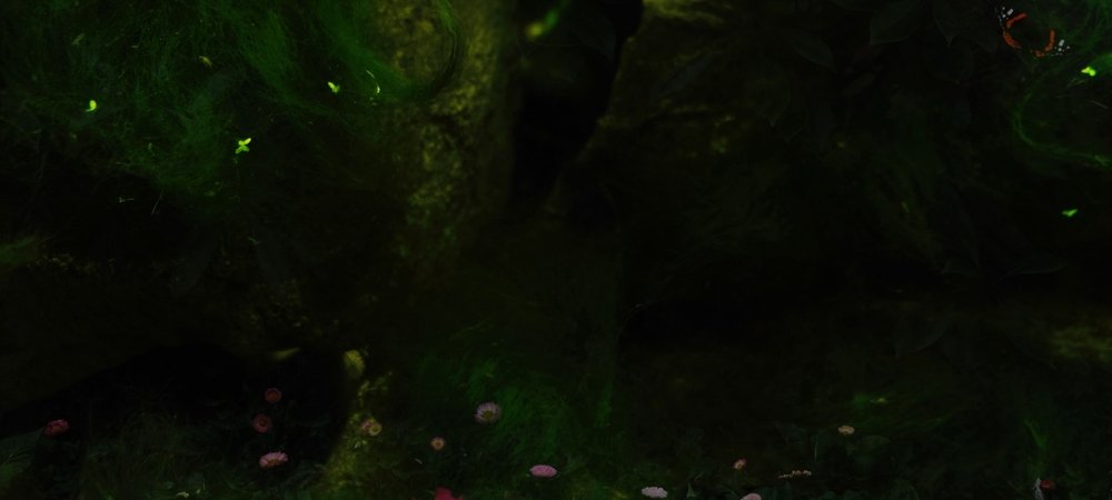 Backdrop of The Butterfly
