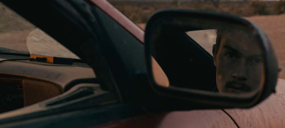 Backdrop of Roadkill