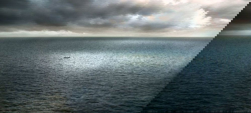 Backdrop of Instinct