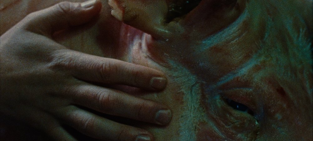 Backdrop of Skin on Skin