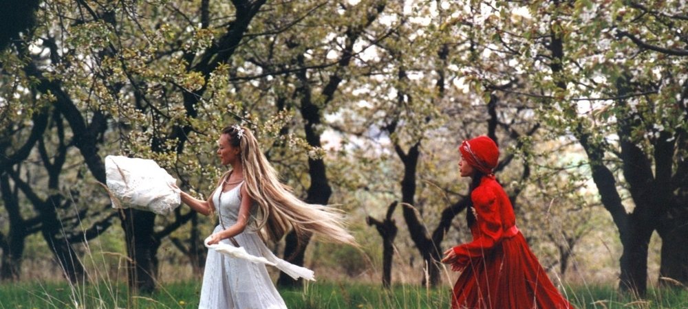 Backdrop of Wild Flowers