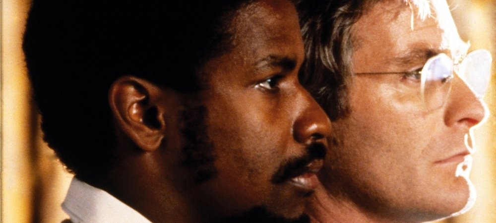 Backdrop of Cry Freedom