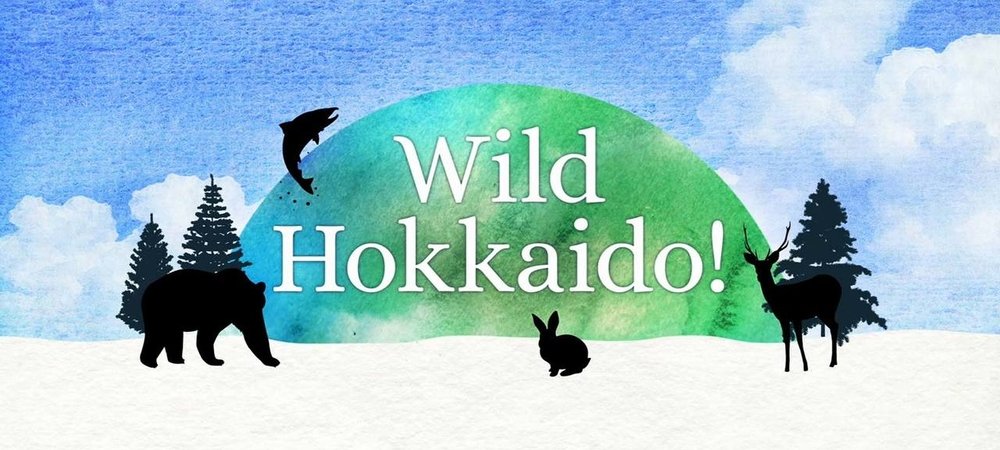 Backdrop of Wild Hokkaido!