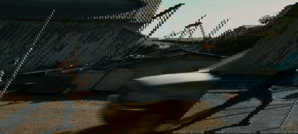 Backdrop of The Terminators