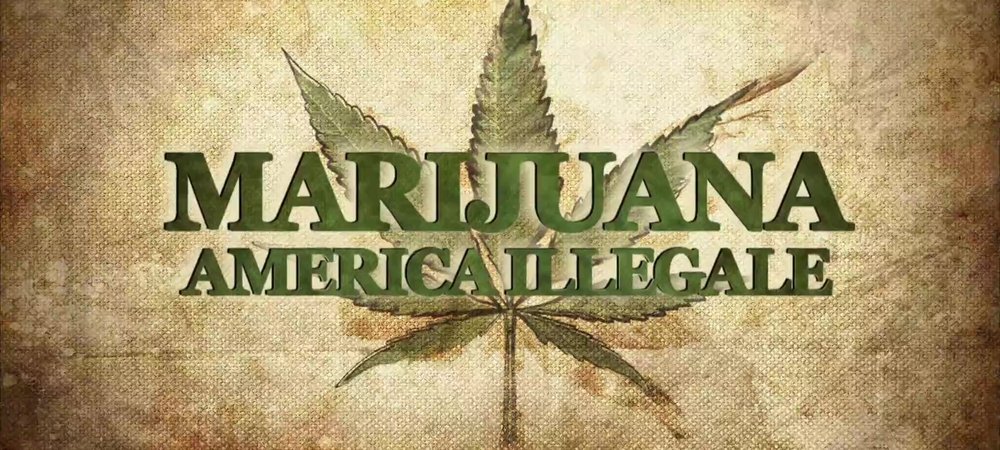 Backdrop of Weed Country