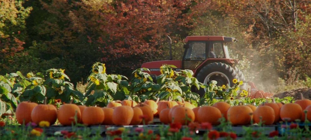 Backdrop of Farmageddon