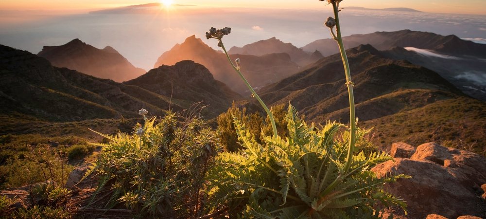 Backdrop of The Canary Islands