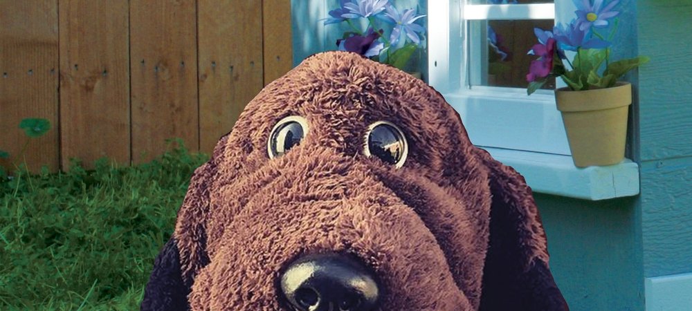 Backdrop of Allan The Dog