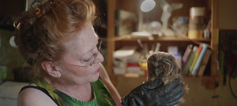 Backdrop of Bird Woman