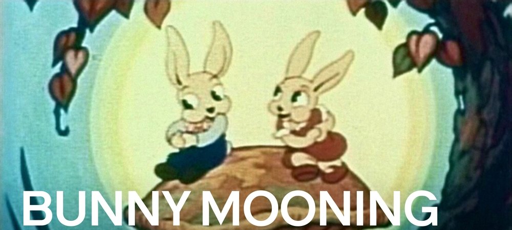 Backdrop of Bunny Mooning