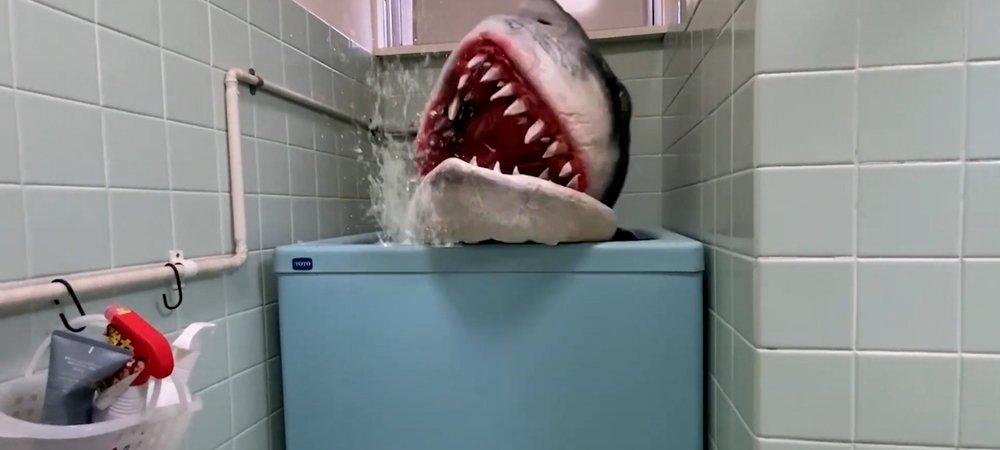 Backdrop of Ido Shark