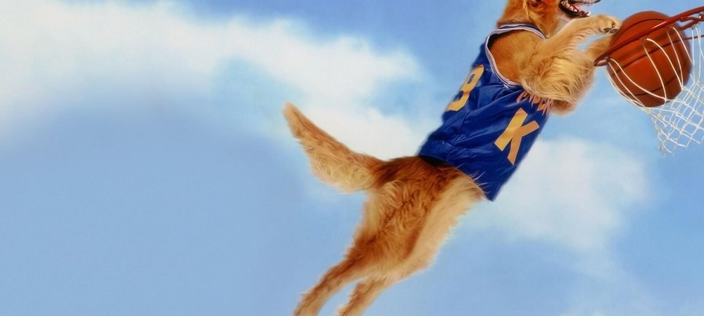 Backdrop of Air Bud