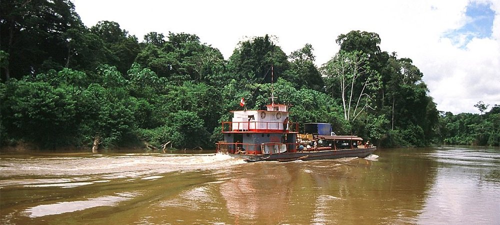 Backdrop of Amazon Abyss