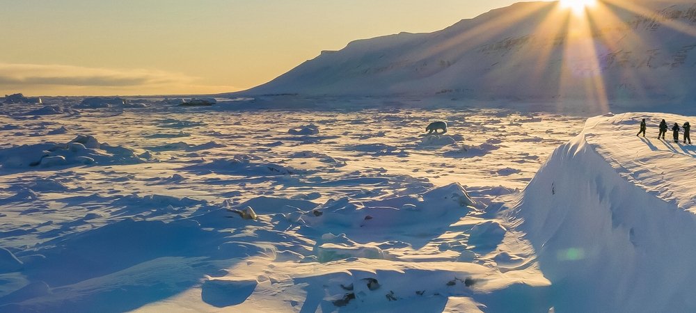 Backdrop of Bear Witness