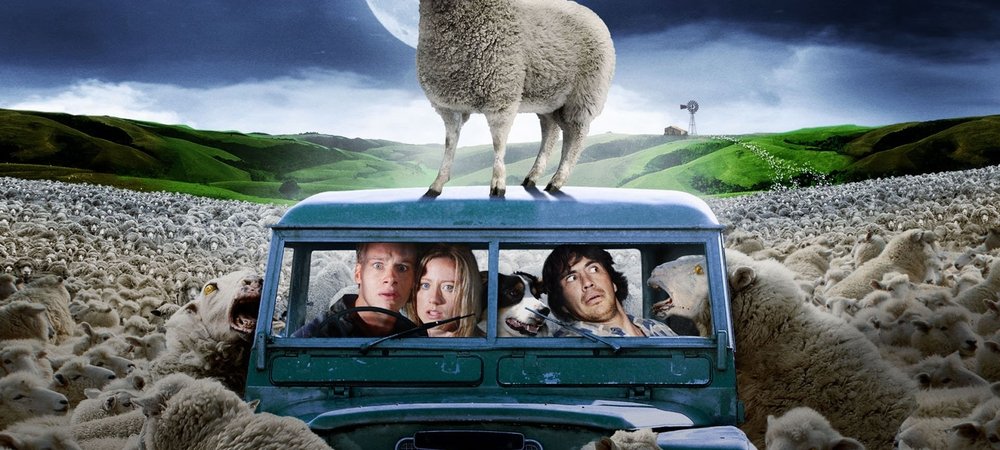 Backdrop of Black Sheep