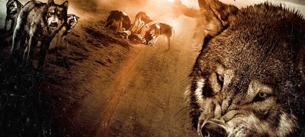 Backdrop of Wolf Town