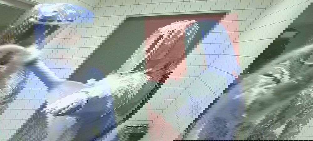 Backdrop of SARS-29