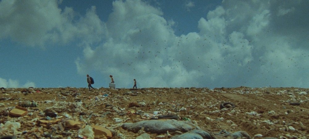 Backdrop of Sweetwater