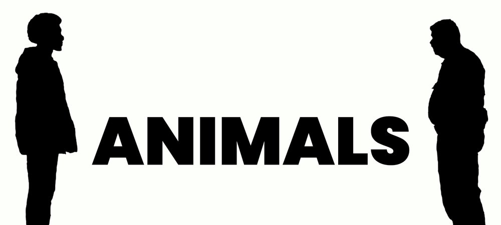 Backdrop of ANIMALS