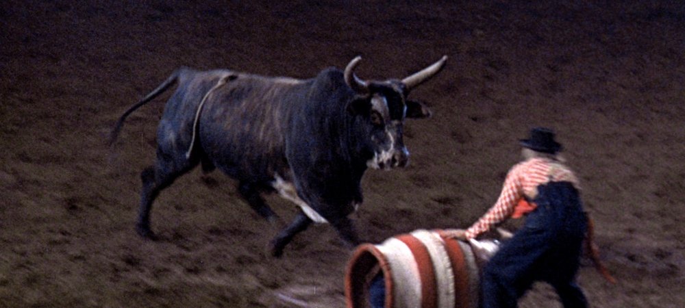Backdrop of Rodeo