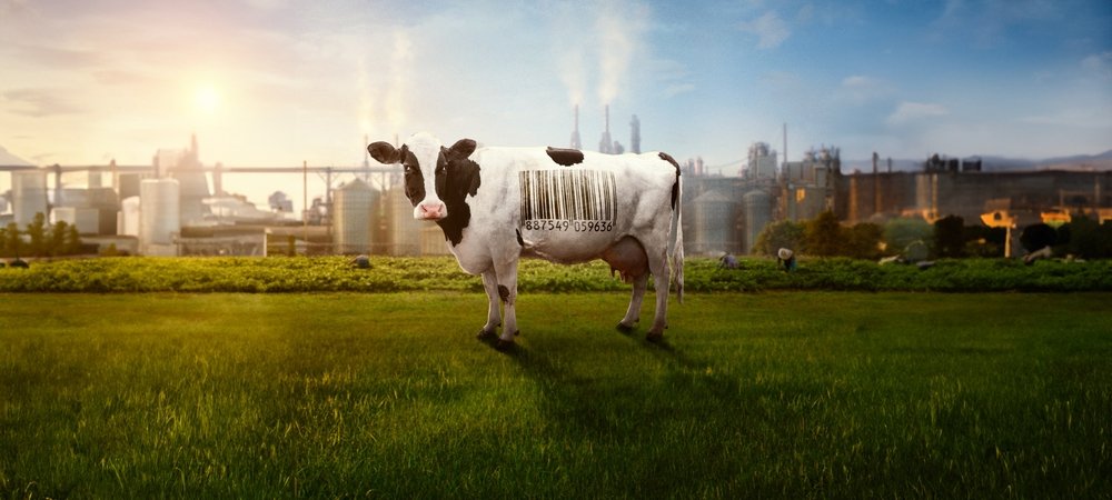 Backdrop of Food, Inc. 2