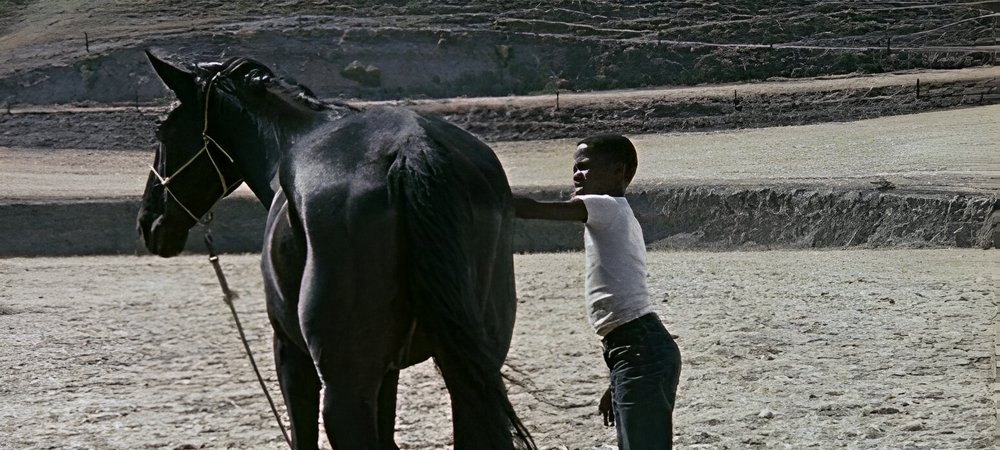 Backdrop of The Horse