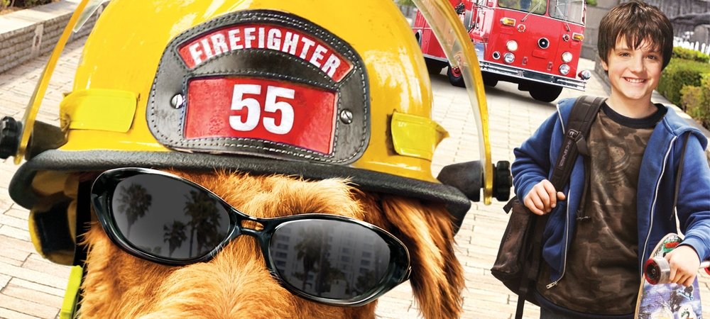 Backdrop of Firehouse Dog
