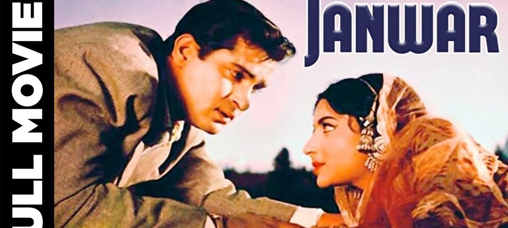 Backdrop of Janwar