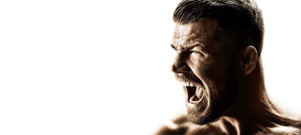 Backdrop of Bisping