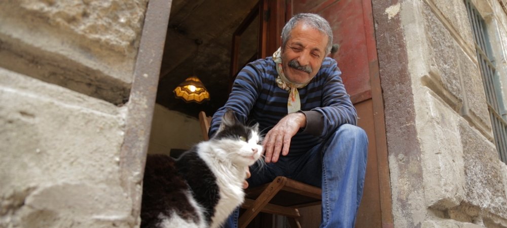 Backdrop of Kedi