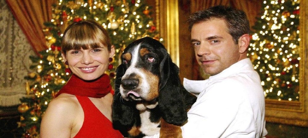 Backdrop of Der Weihnachtshund