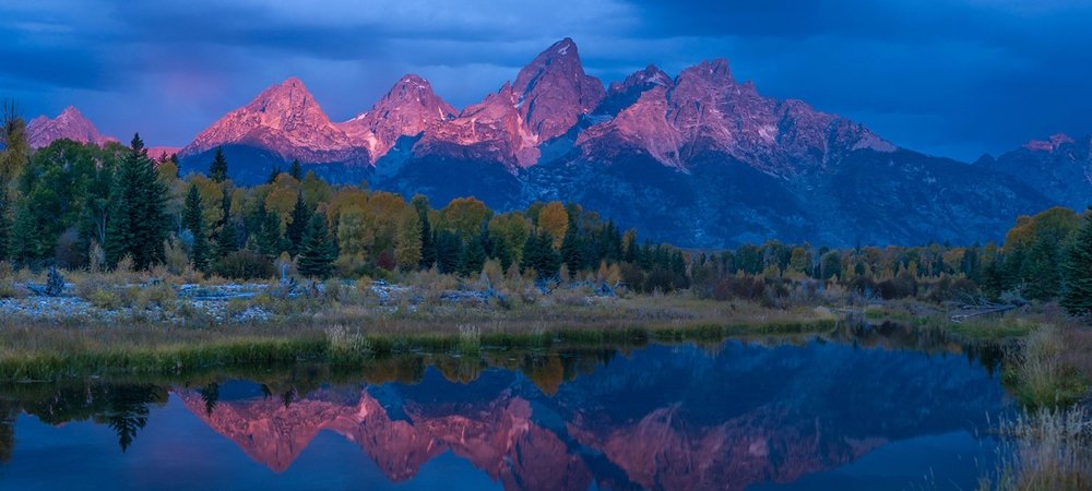 Backdrop of Wild Yellowstone