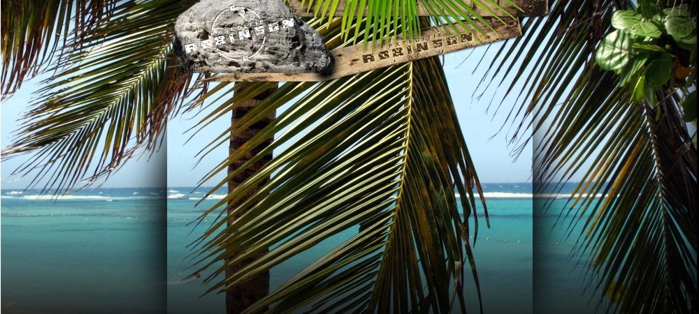Backdrop of Expeditie Robinson