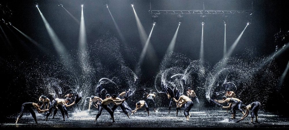 Backdrop of A Swan Lake