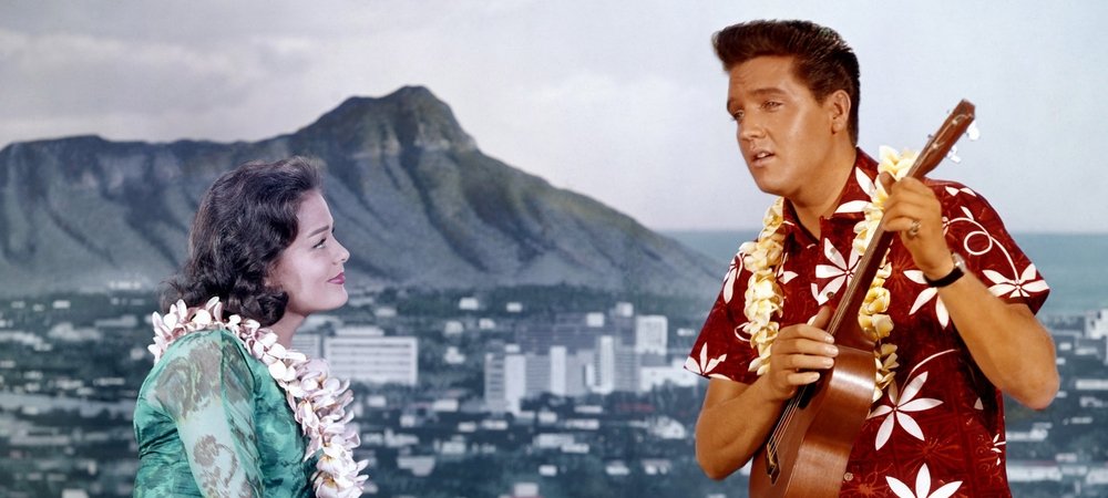 Backdrop of Blue Hawaii