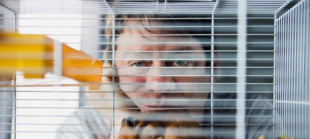 Backdrop of Der Hamster