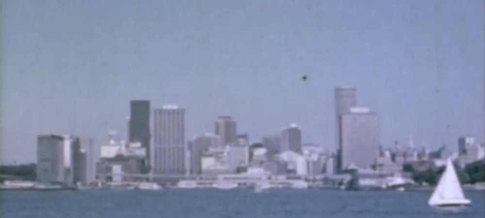 Backdrop of Sunshine City