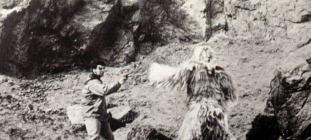 Backdrop of Man Beast