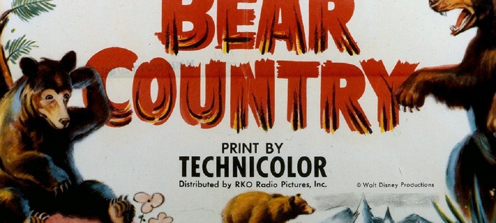 Backdrop of Bear Country