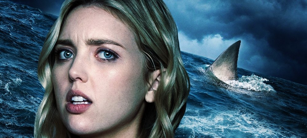 Backdrop of Shark Season