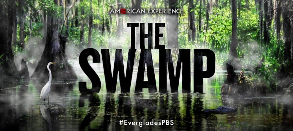 Backdrop of The Swamp