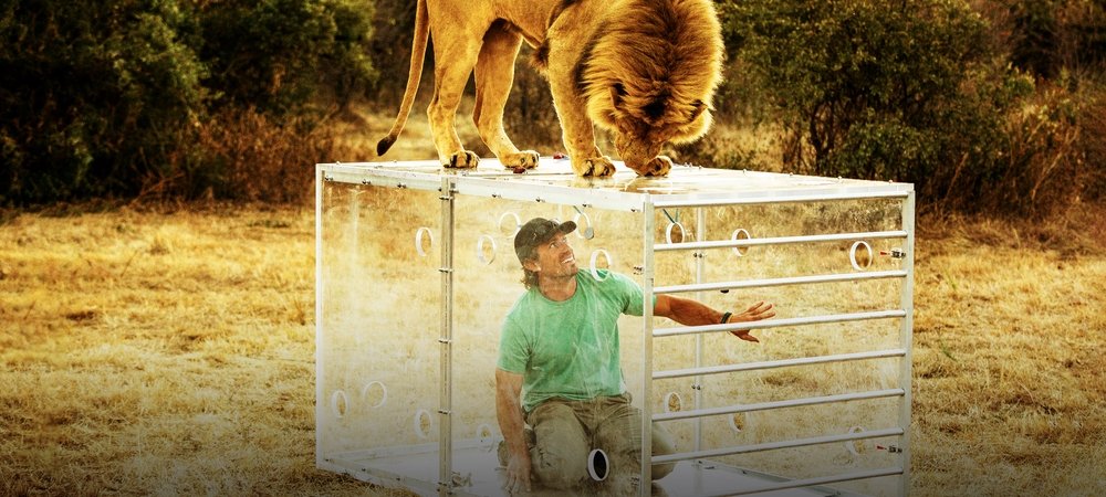 Backdrop of Man V. Lion