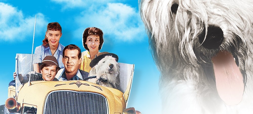 Backdrop of The Shaggy Dog