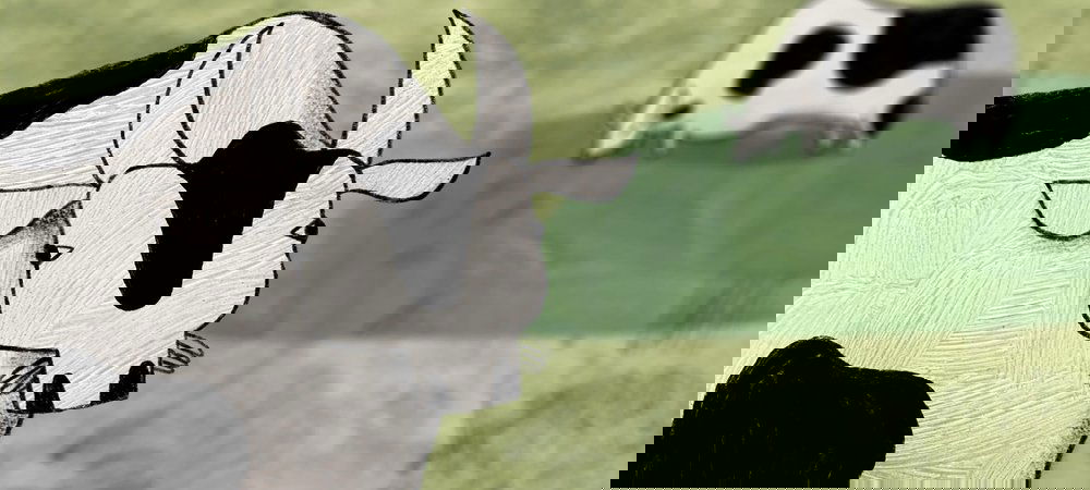 Backdrop of About a Cow