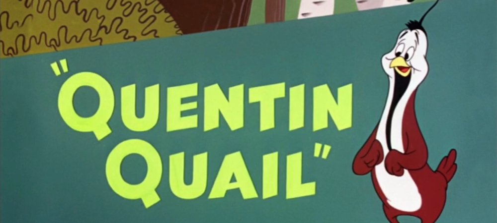 Backdrop of Quentin Quail
