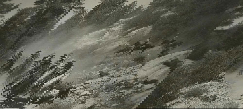 Backdrop of Hidden Gold