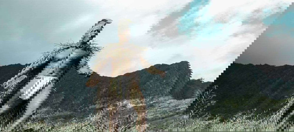 Backdrop of Ho'omau