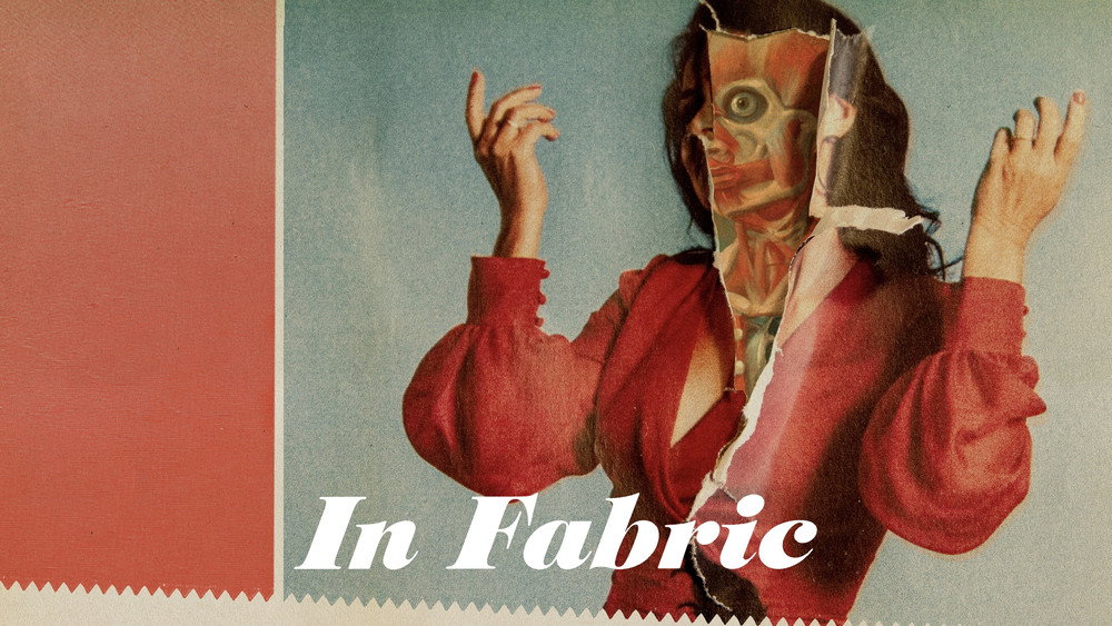 织物,In Fabric(2018电影)